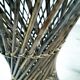 Tam Tam stool in rattan