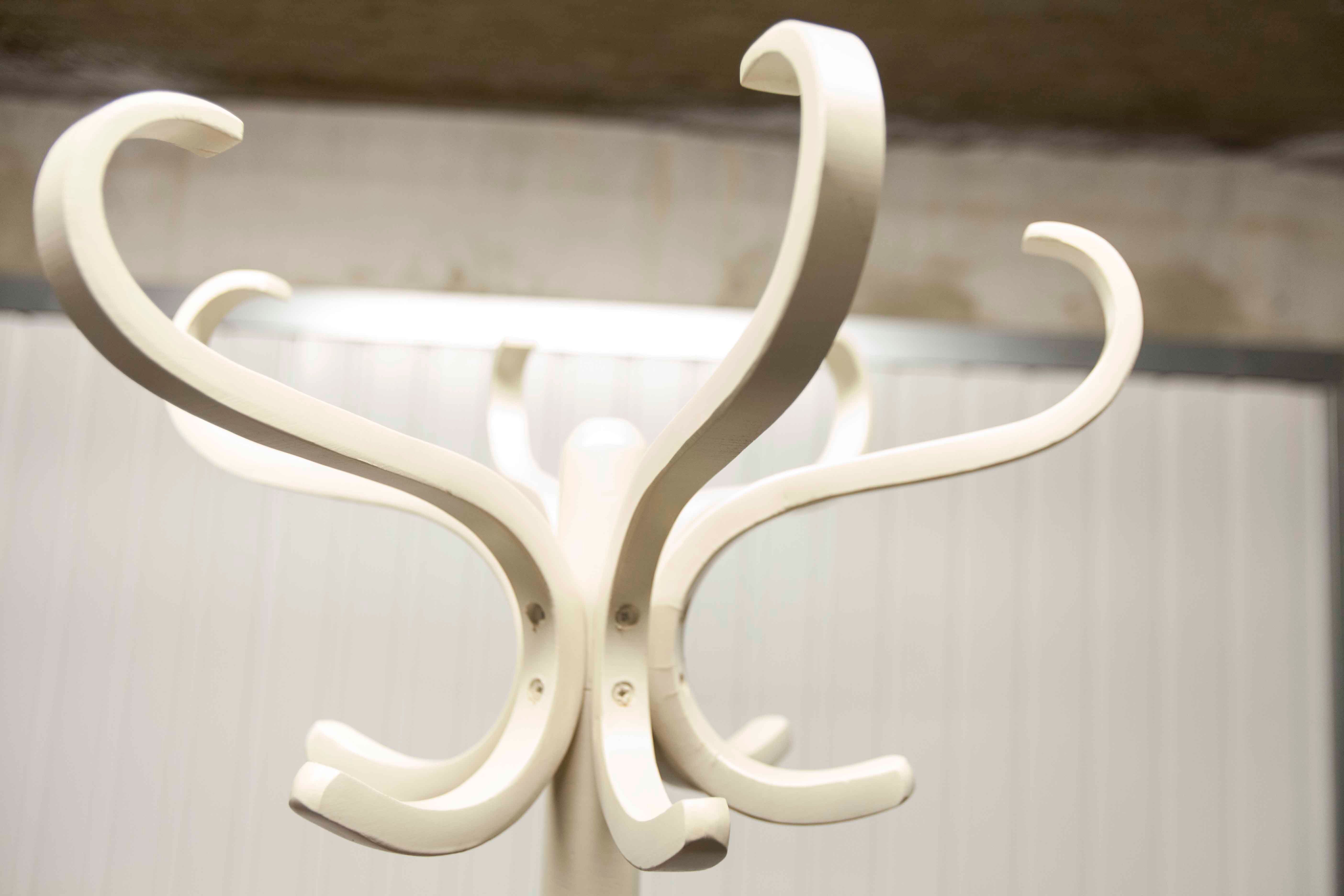 Parrot wears white Baumann coat 1970