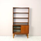 Scandinavian bookcase with cabinet