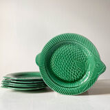 Lot 6 flat plates fish