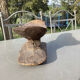 Headrest Africa