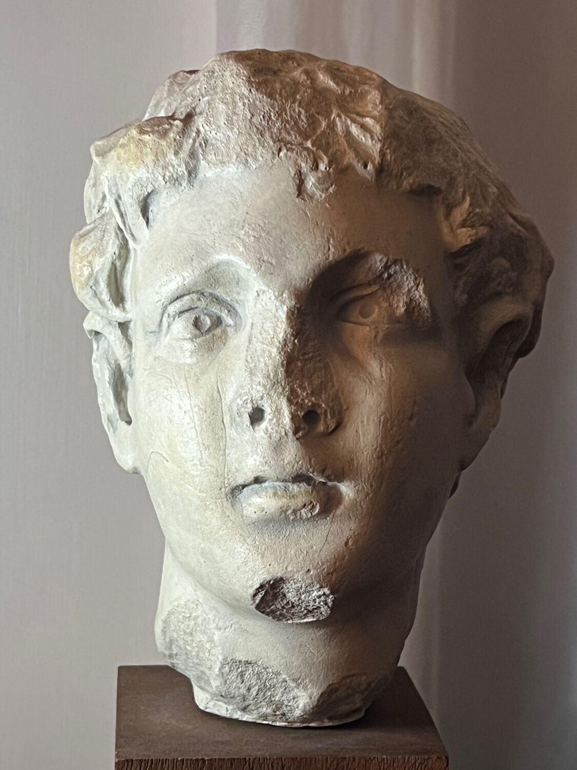 Bust, head of a young man - reproduction from the museum of Sens