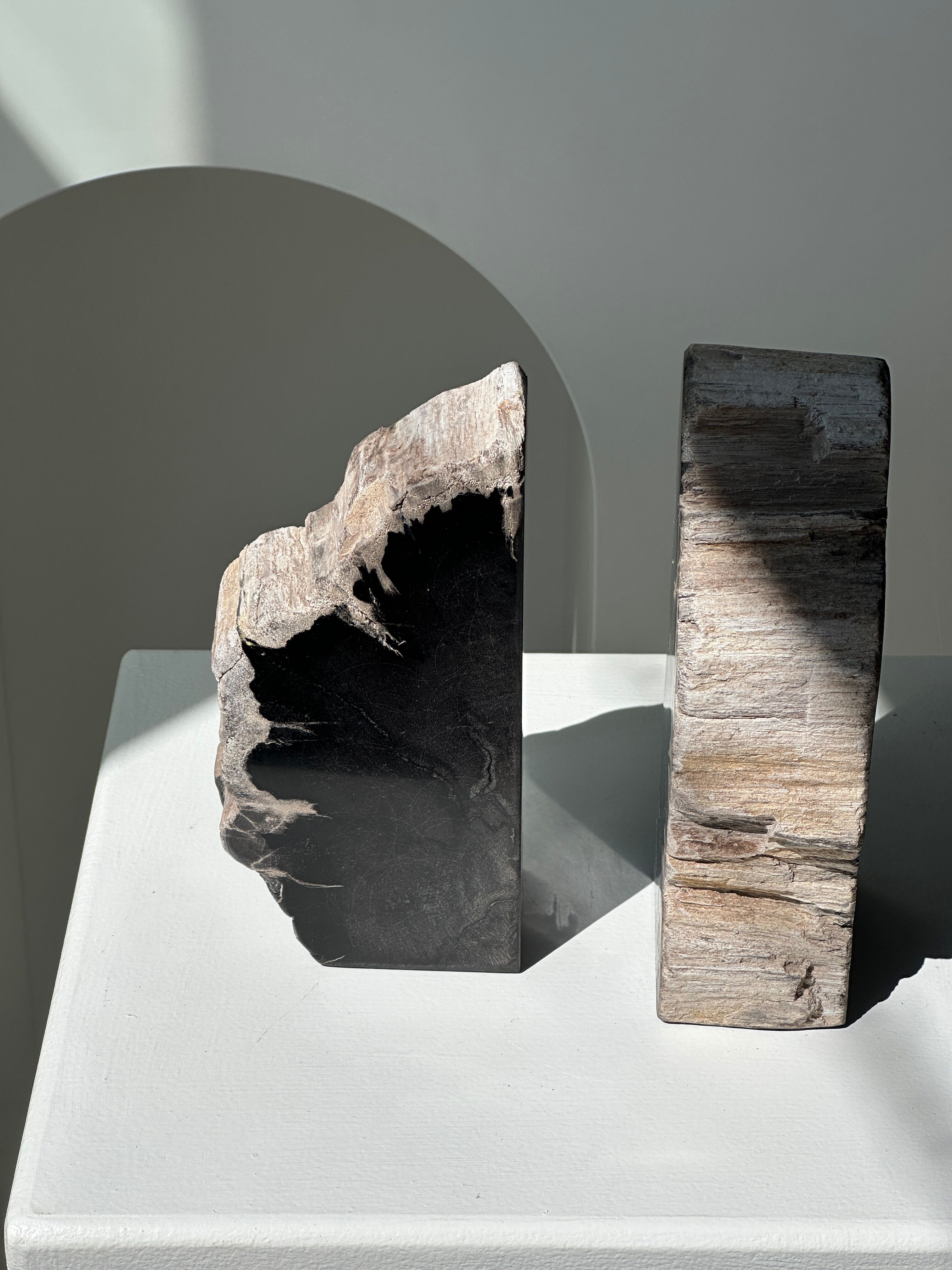 Black petrified wood bookend H17 L17 P6