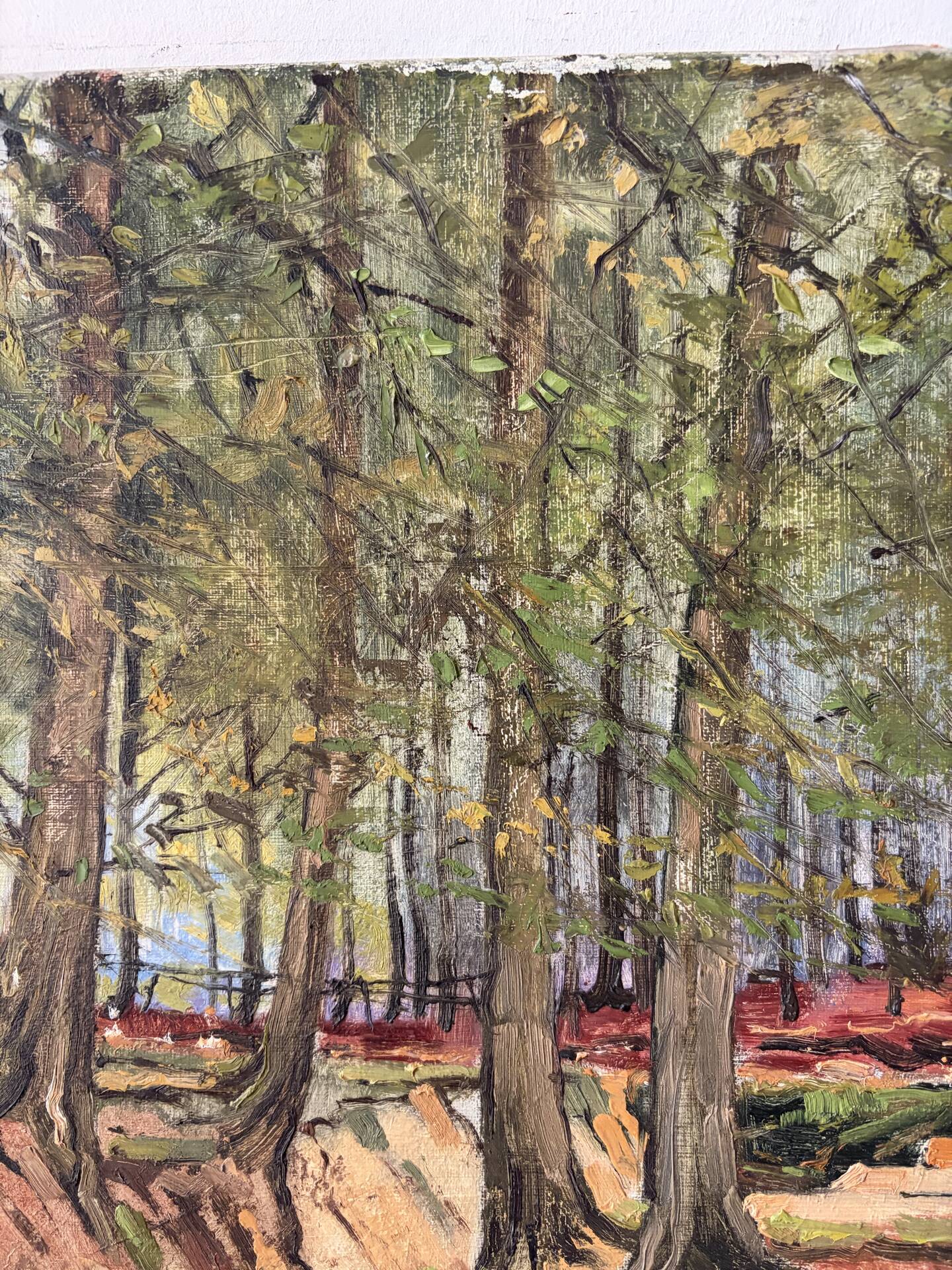Soignes Forest, oil on canvas signed