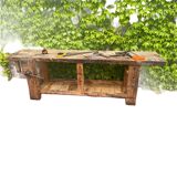 Old beech establishment