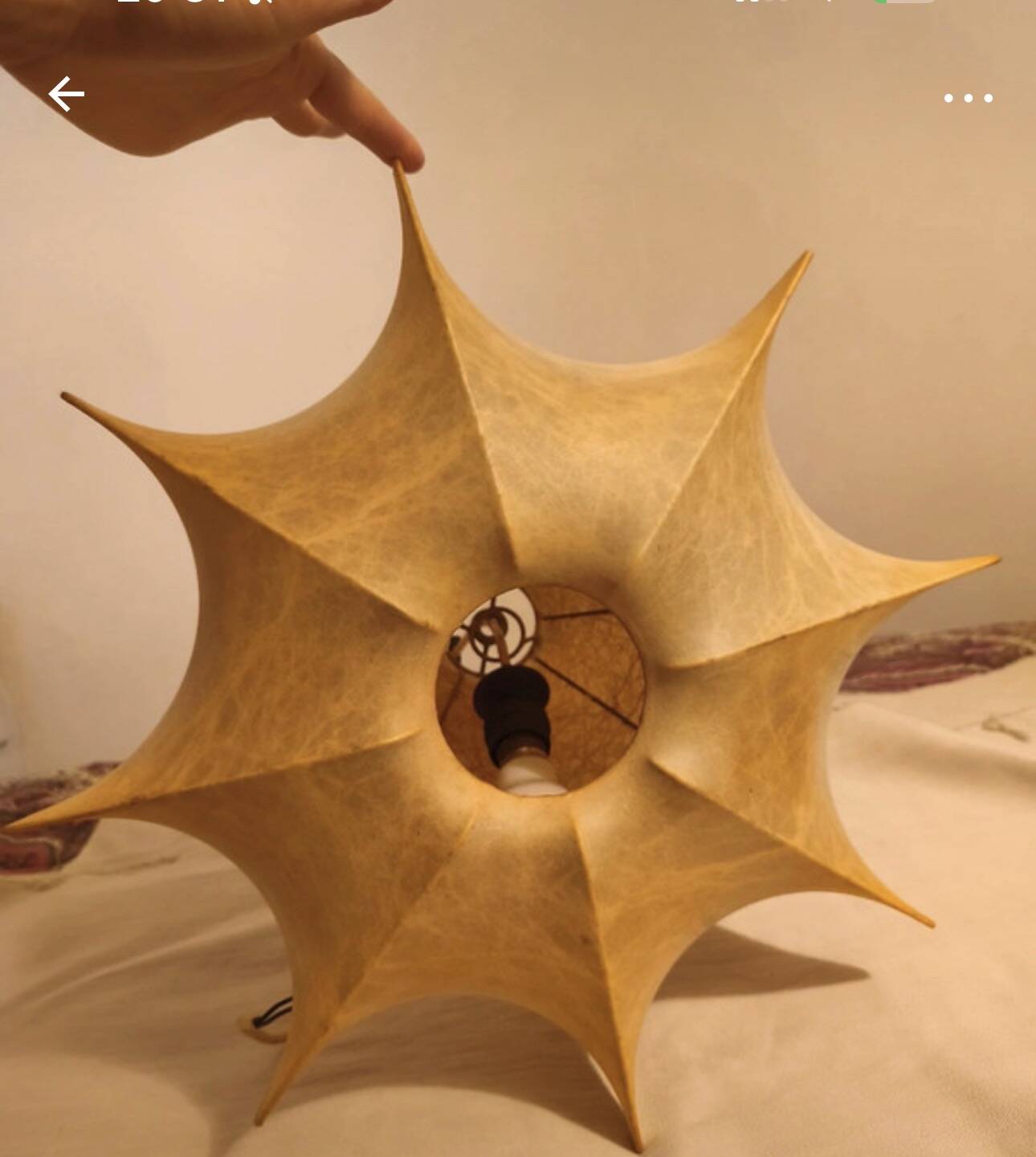 Suspension cocoon in fibreglass, 60s