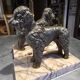 Pair of poodle bookends