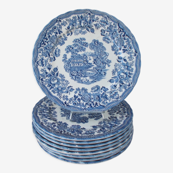 8 assiettes plates Myott Meakin décor bleu