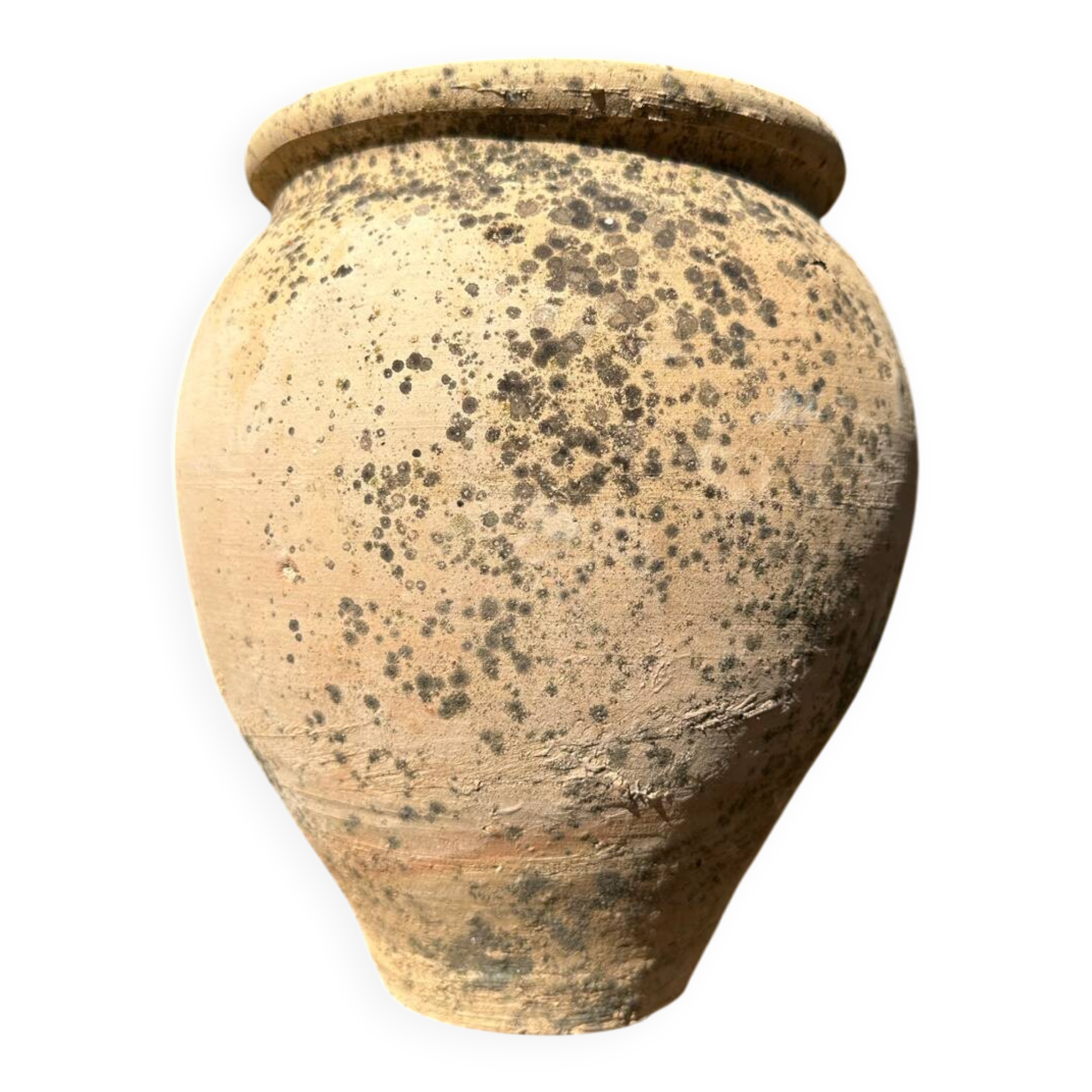 Terracotta paloma pot