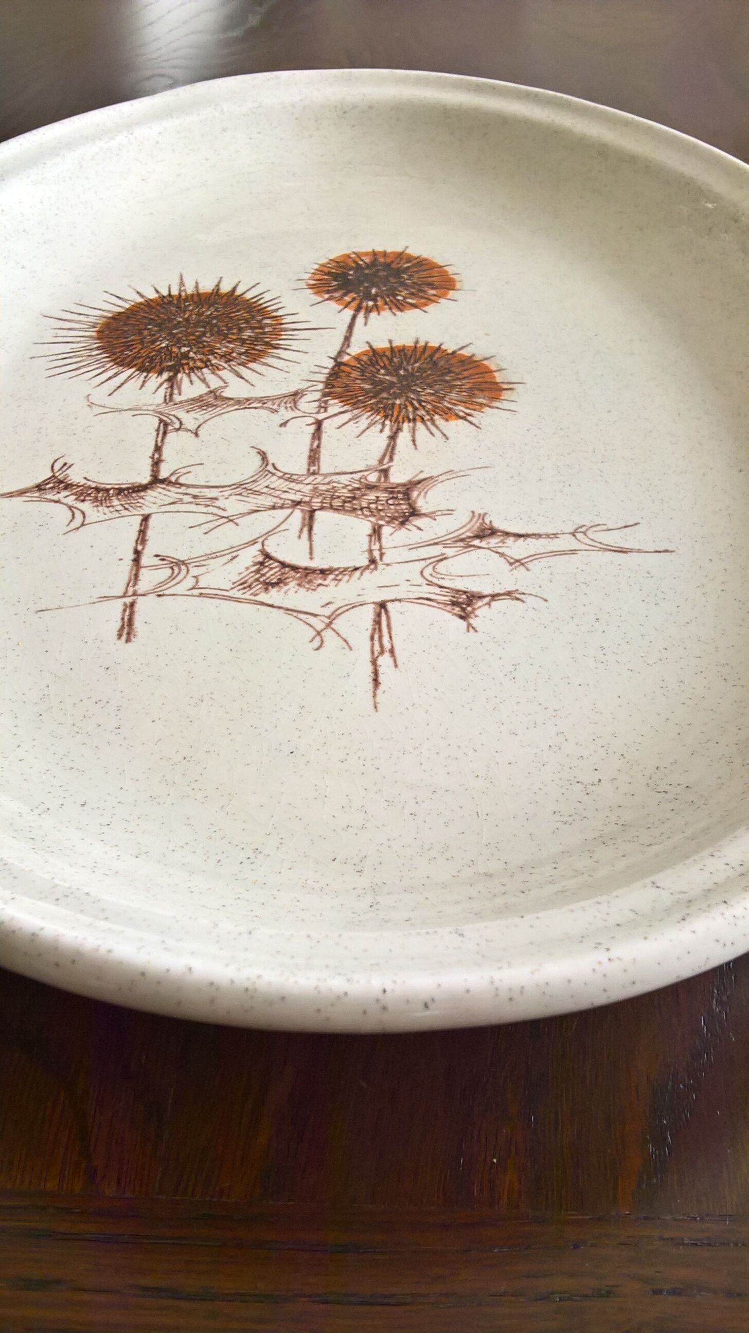 Flat thistles of sarreguemines