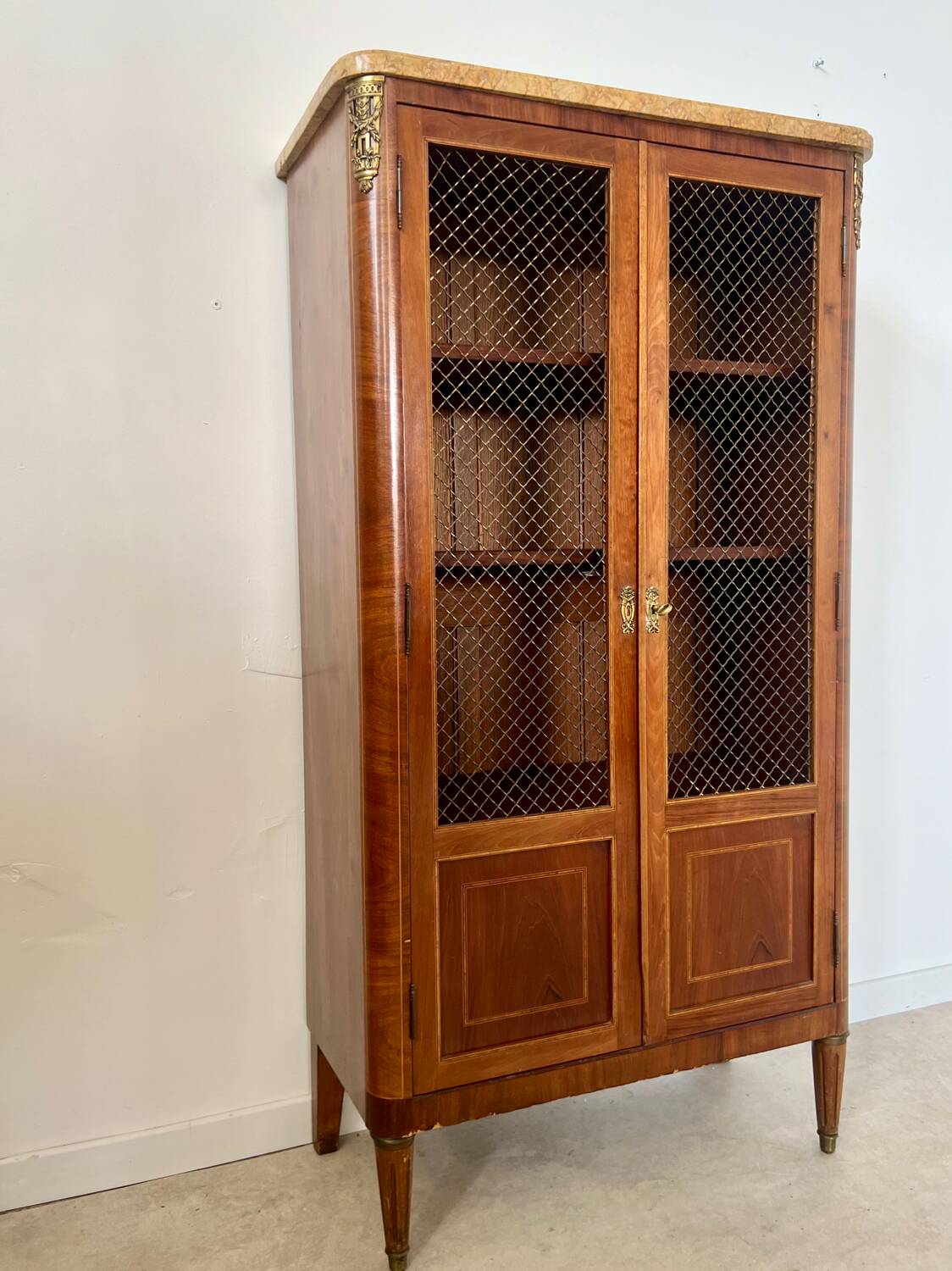 Old display case library with wire mesh from the Napoleon III period, late 19th century