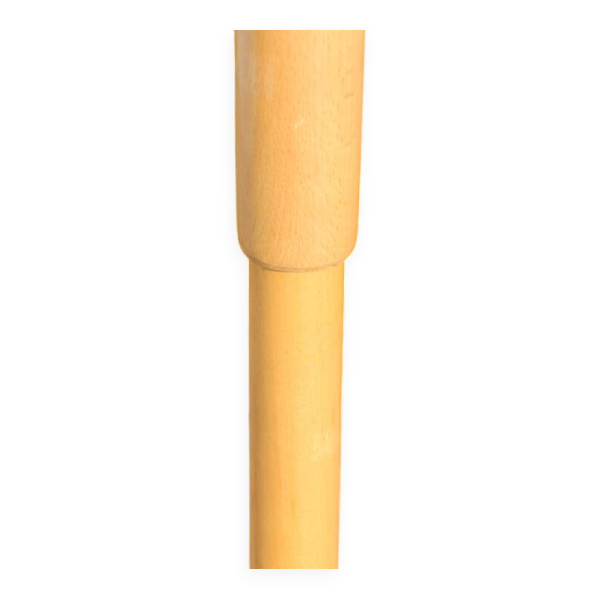 Baumann parrot coat rack simple clear