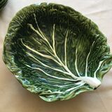 Salad bowl or vegetable cabbage leaf in green slurry