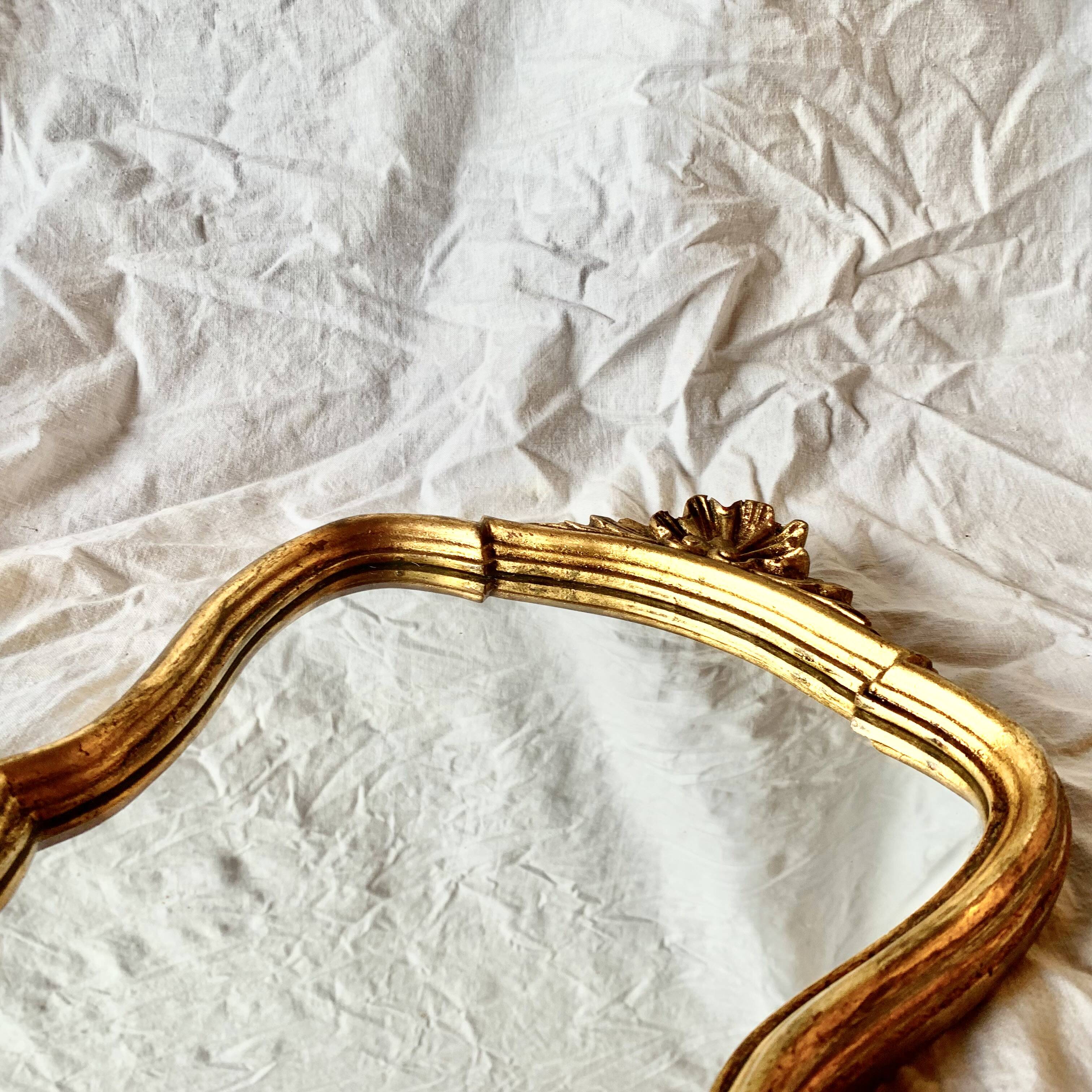 Vintage Gold Leaf Resin Wall Mirror