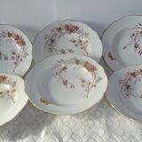 6 assiettes creuses en porcelaine. Art nouveau
