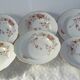 6 hollow porcelain plates. Art Nouveau