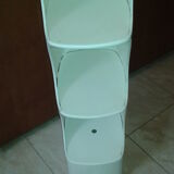 Shelf Rodier in resin and fiber design Valeric Doubroucinskis 1960