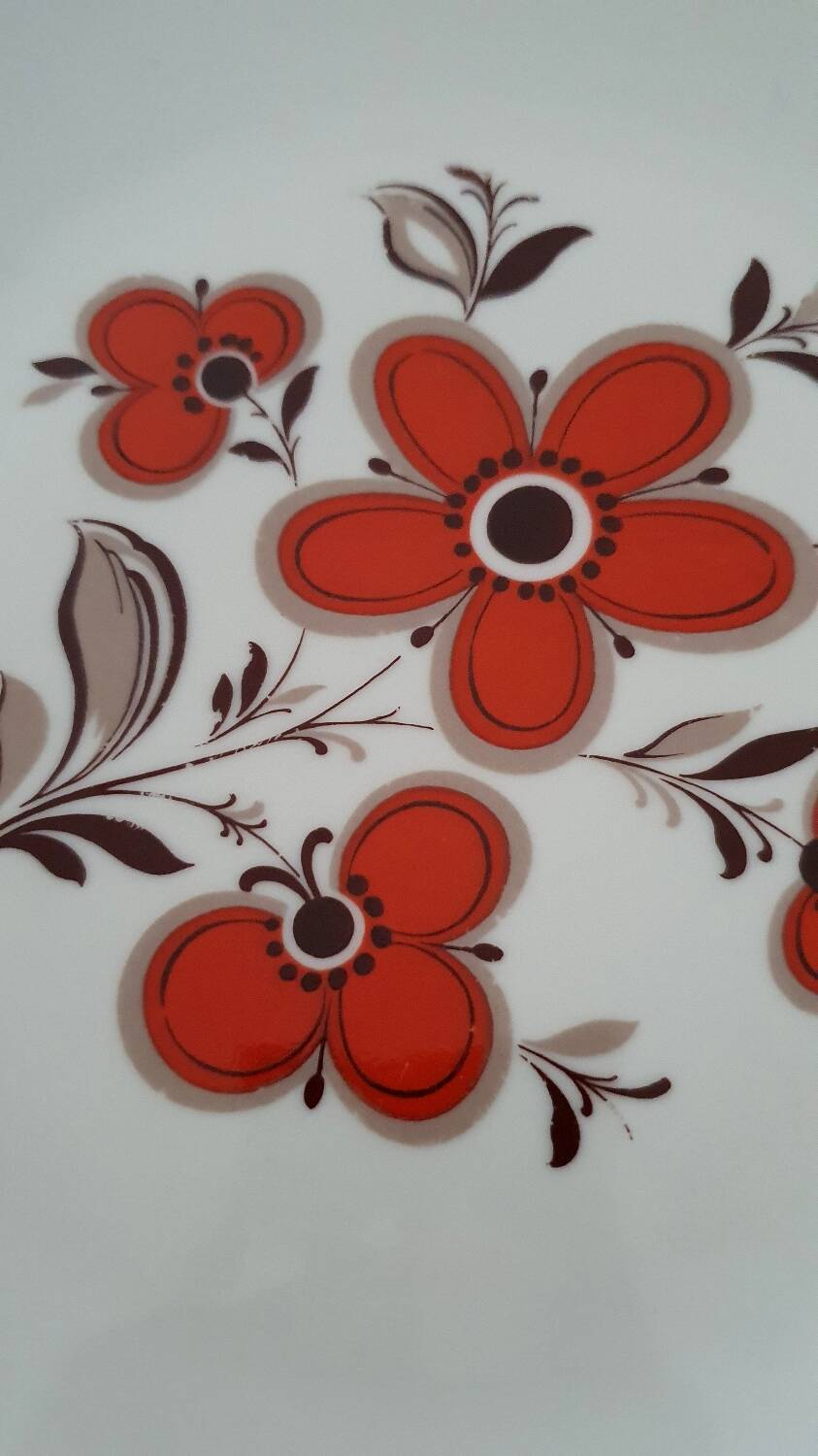 Set of 5 flat plates - Arzberg earthenware factory 1960/70