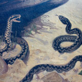 Old snake school map