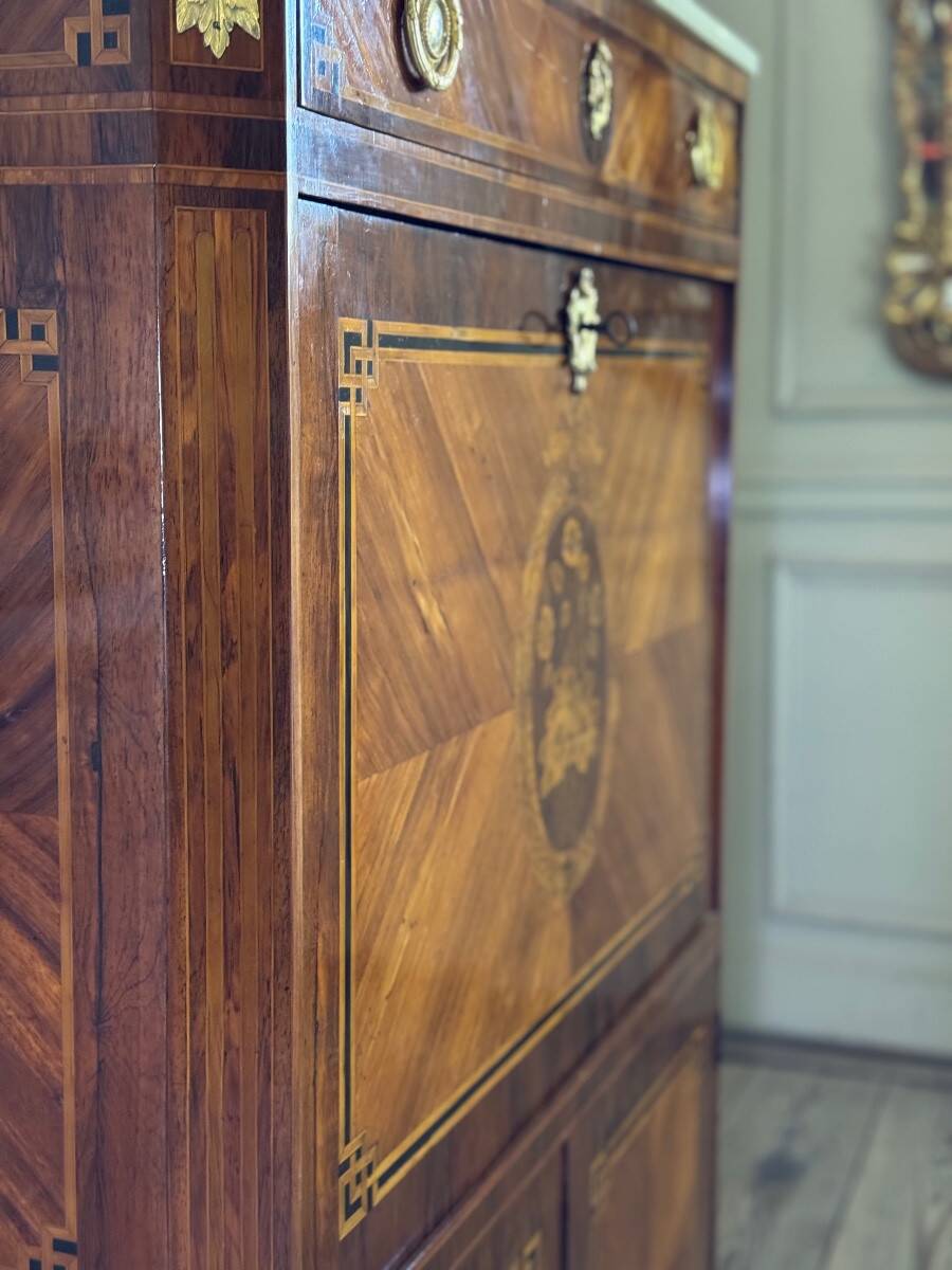 Louis XVI drop-leaf secretary in rosewood and violet wood veneer, 18th century