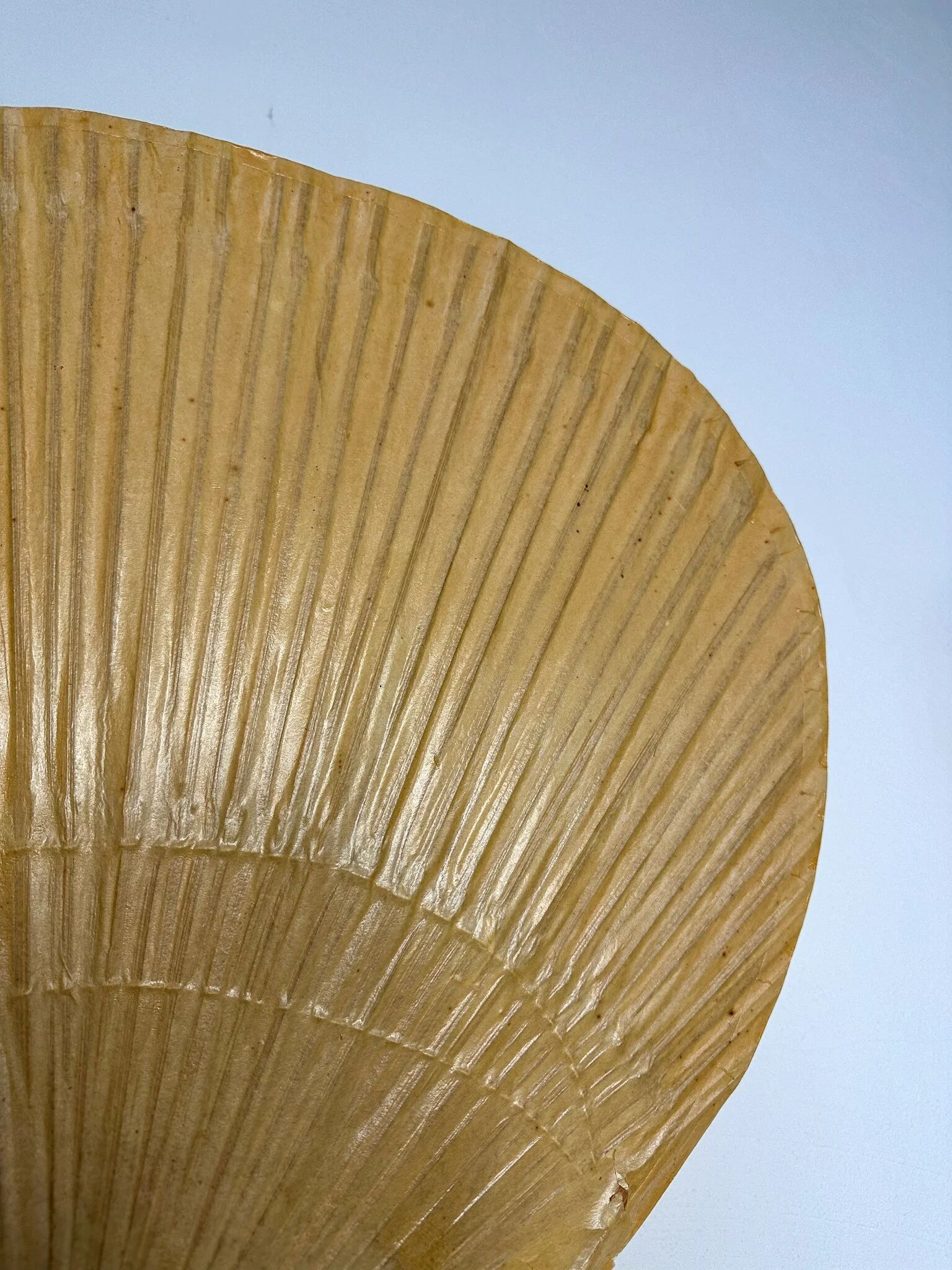 1970s Vintage Ingo Maurer for M-Design Uchiwa III Bamboo Wall Light