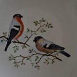 White porcelain dish St Amand, bird motif