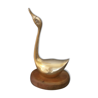 Swan