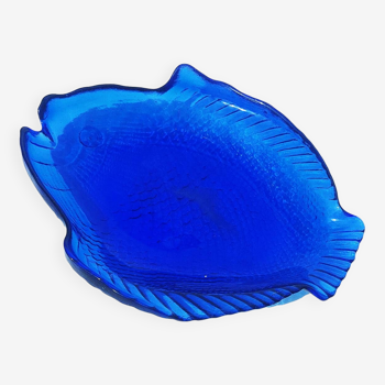 Plat poisson bleu