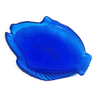 Blue fish dish