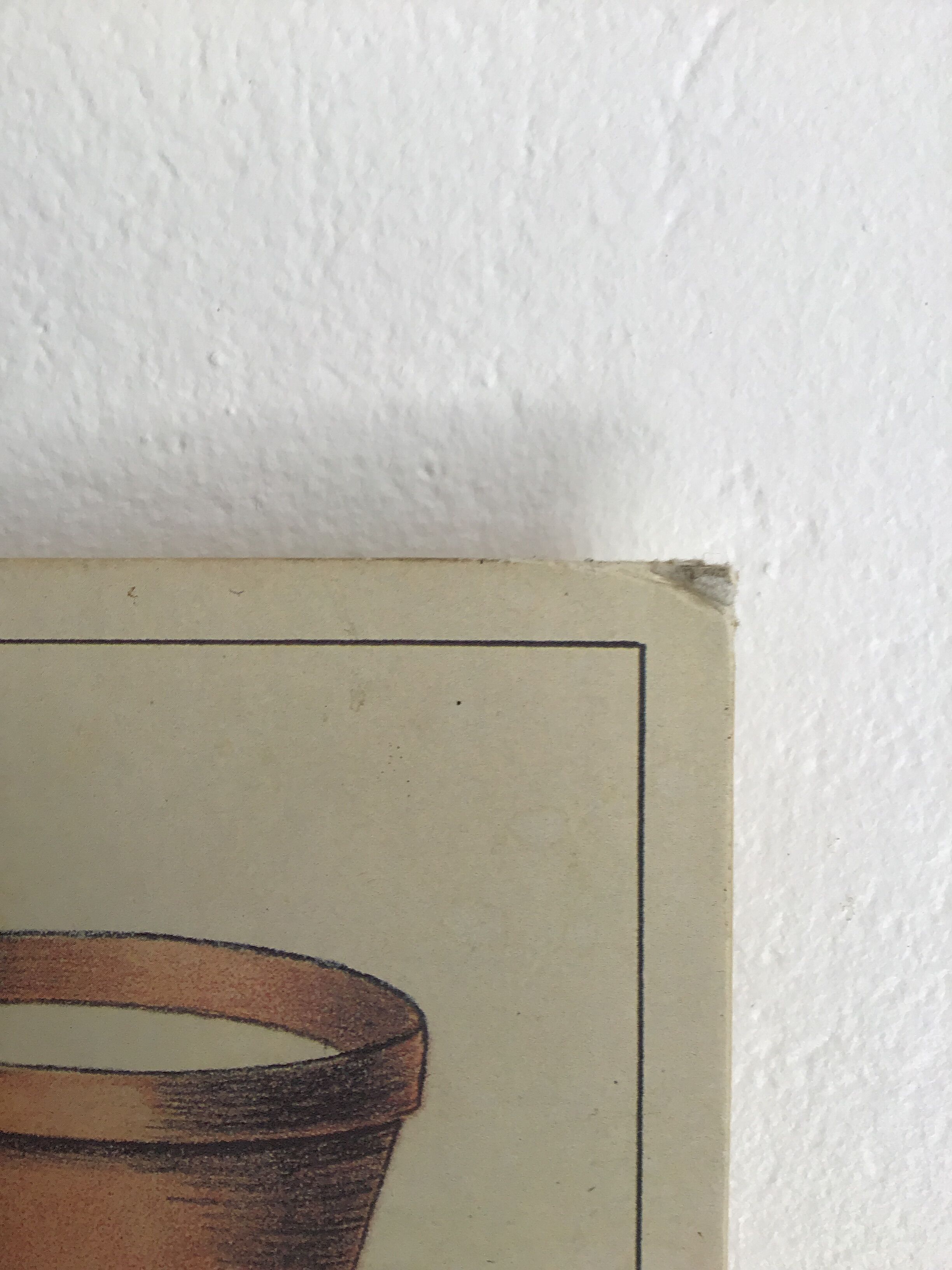 Educational school poster on milk