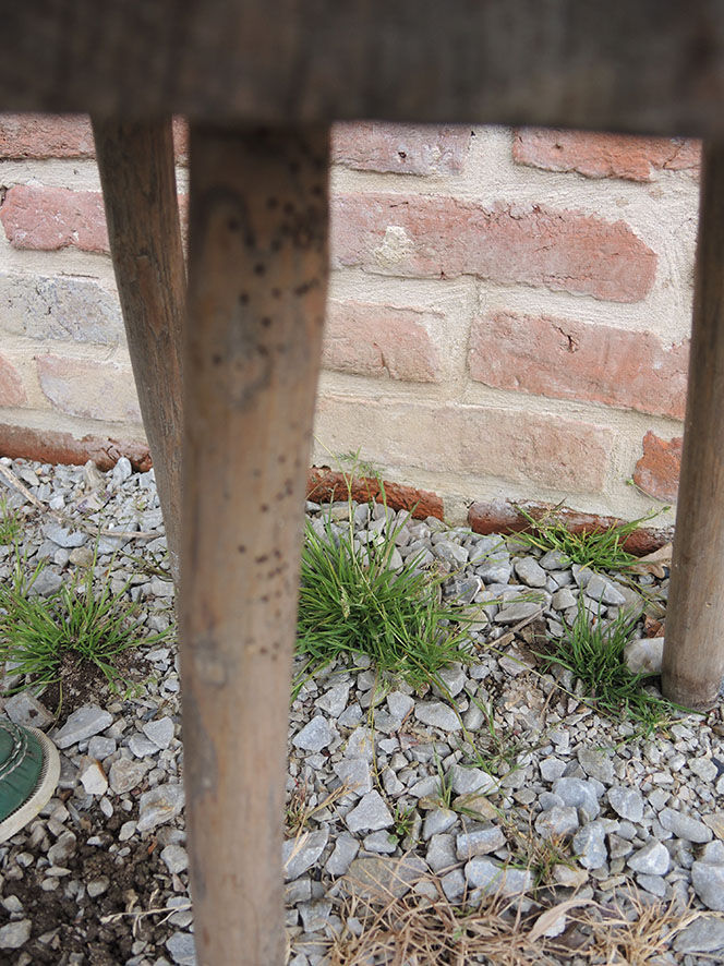 Old raw wood milking stool