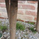 Old raw wood milking stool