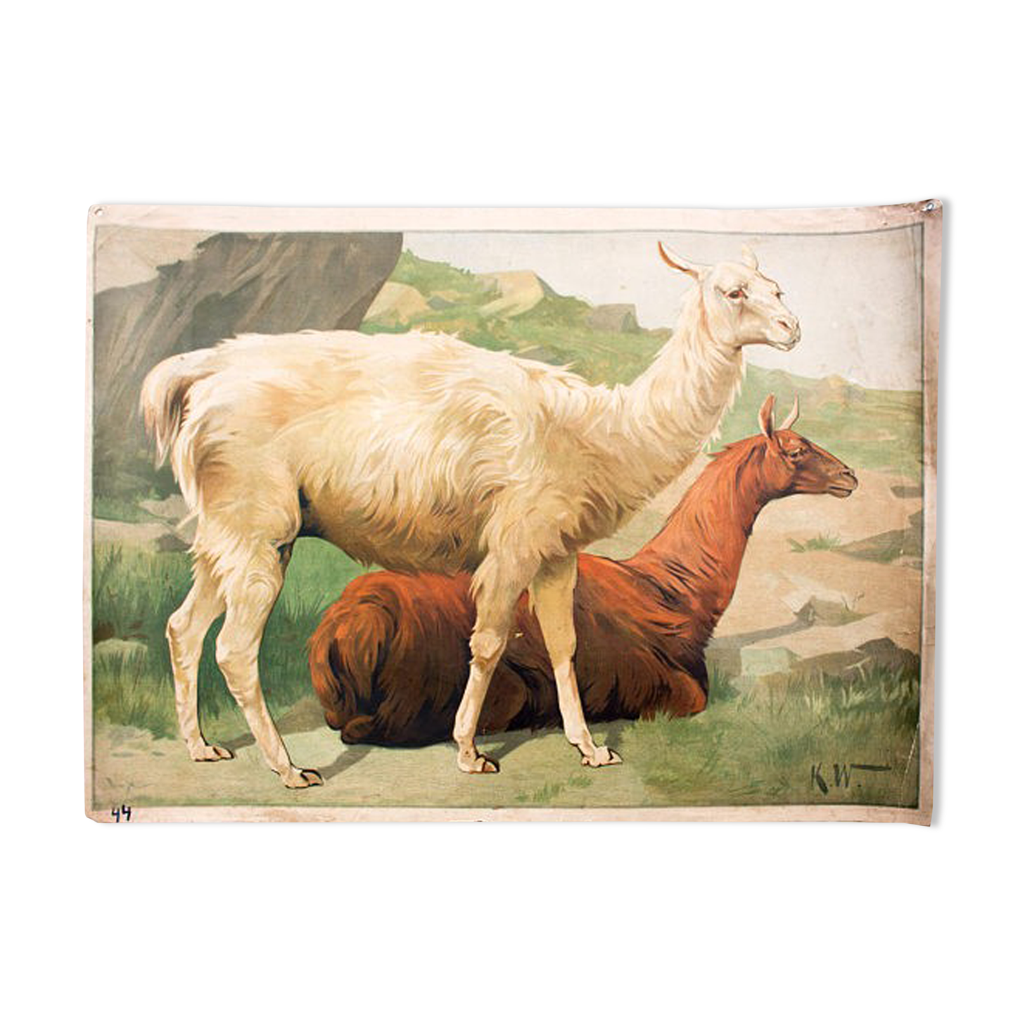 Poster "IIama" educational grid 1891