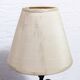 Paire de lampes "fleurs"
