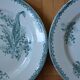 Lot of 4 plates the Amandinoise collection thrush