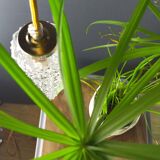 Vintage crystal spike walking lamp