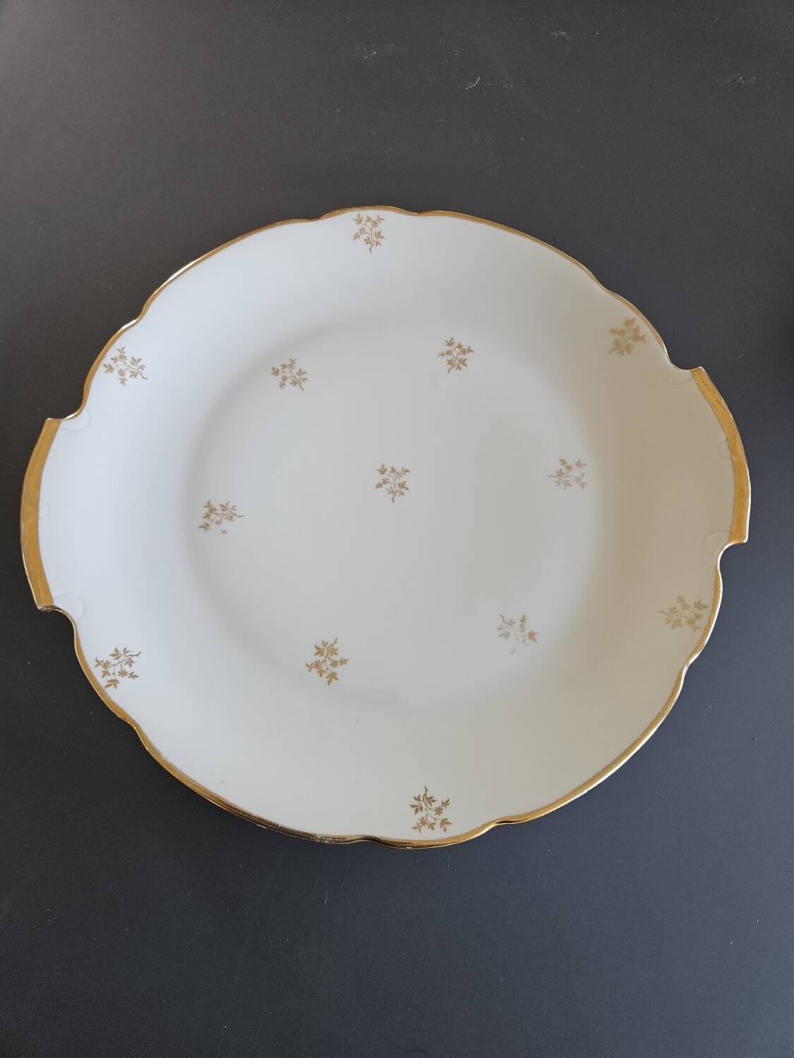 Service plate / luxury porcelain plate national company