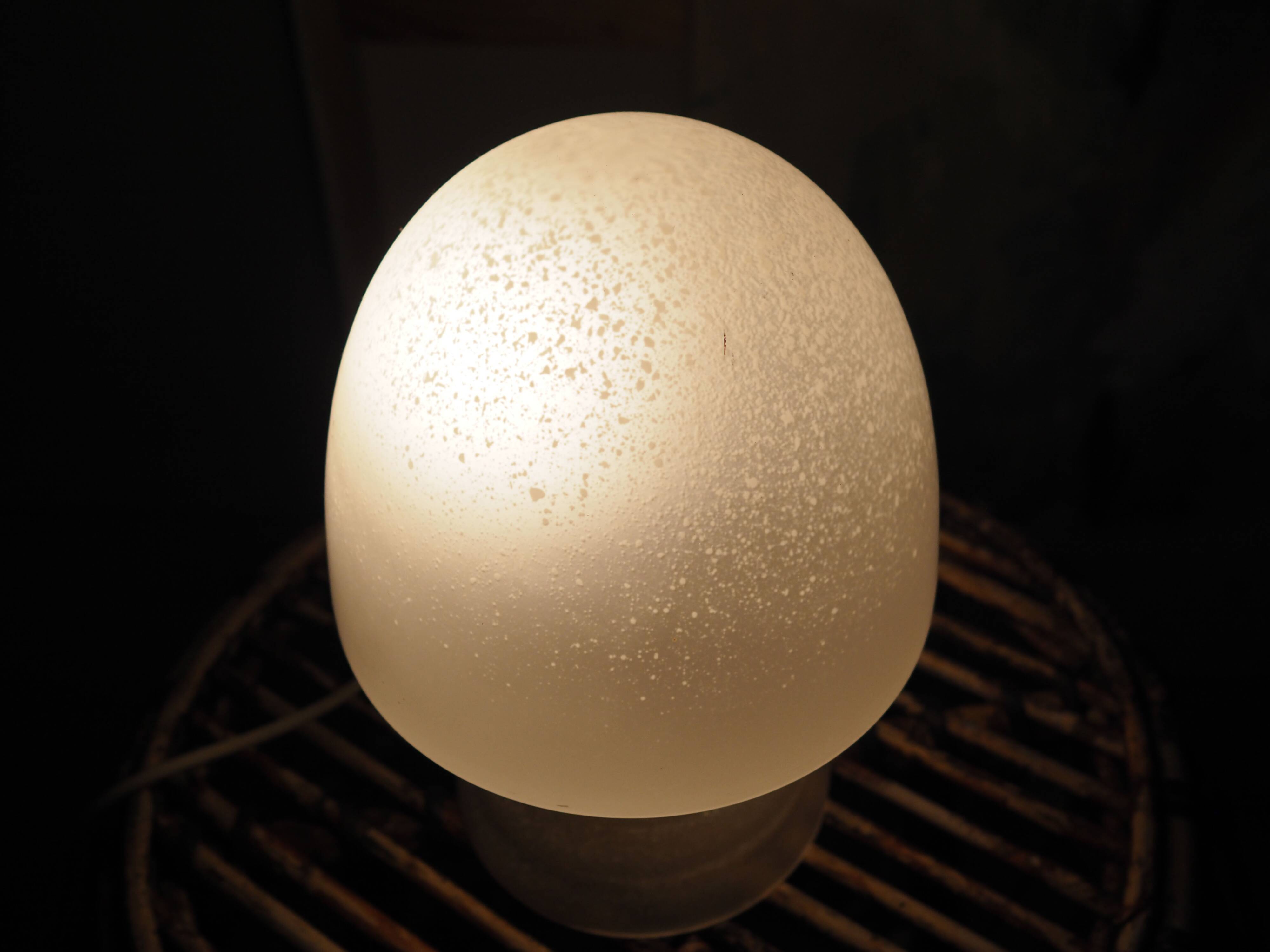 Mushroom bedside lamp, Danish design, 1970s, production: Denmark