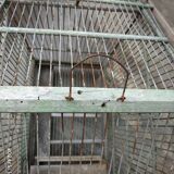 Bird cage