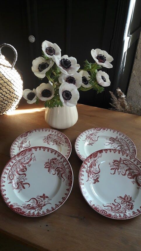 Set of 4 dinner plates Earth iron Iris