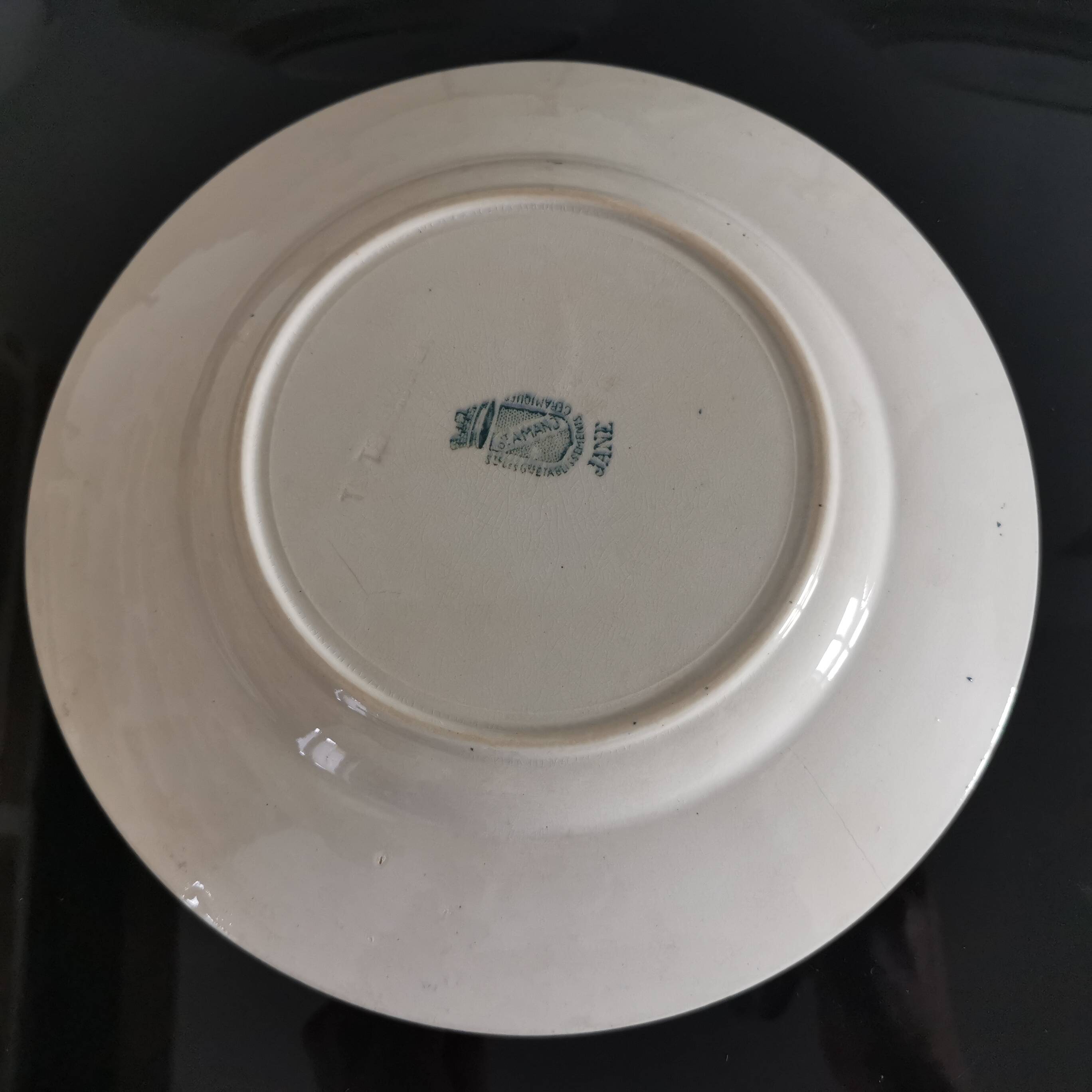 7 Jane model flat plates with dark green floral decoration Saint-Amand