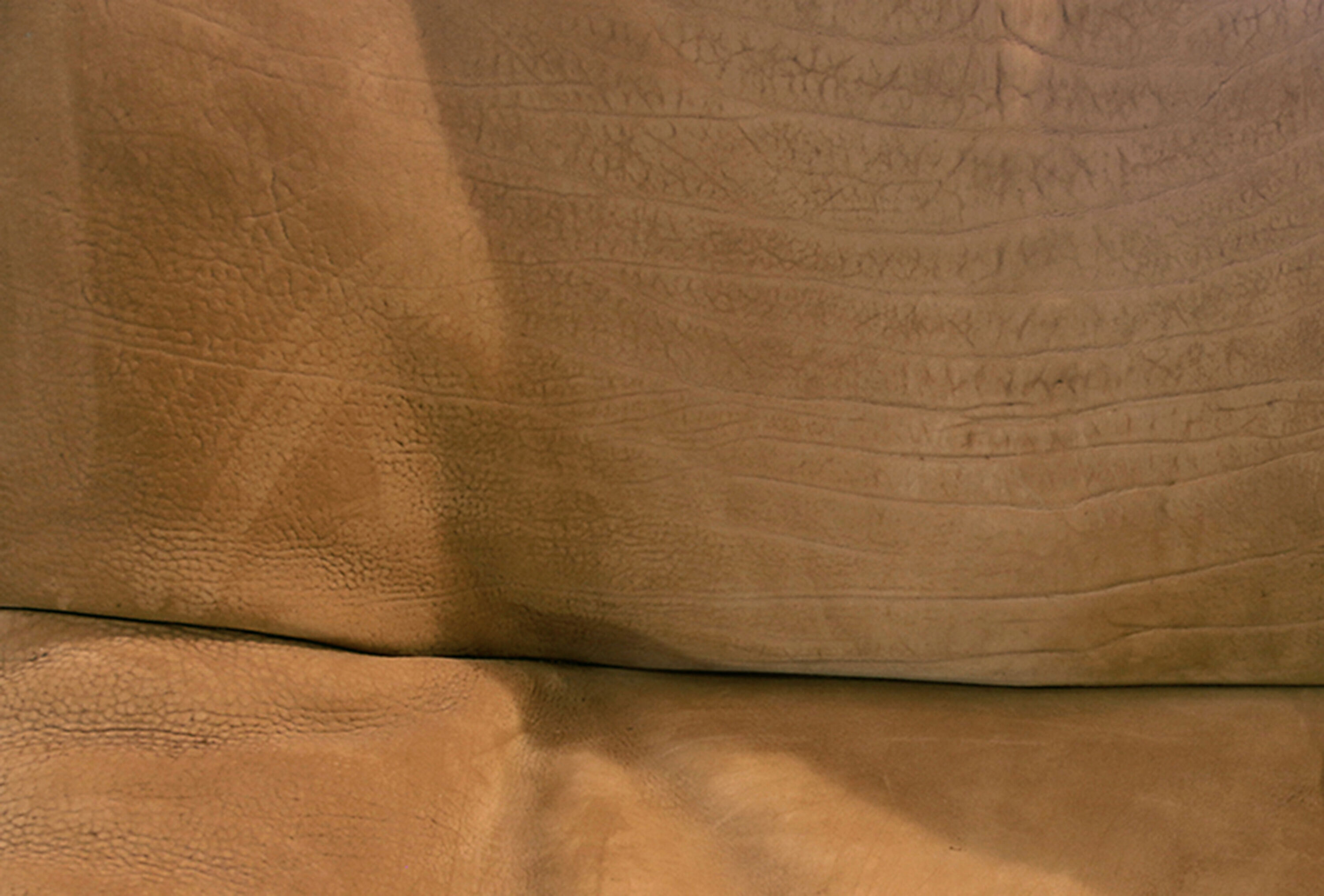 Mid-century de Sede DS-46 bull neck leather modular sofa