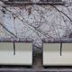 Amanta armchairs by Mario Bellini for B & B Italia / C & B Italia, 1970s, Set of 2