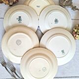Mismatched antique ironstone earthenware plates