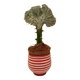 Spiral Pattern Plant Pot