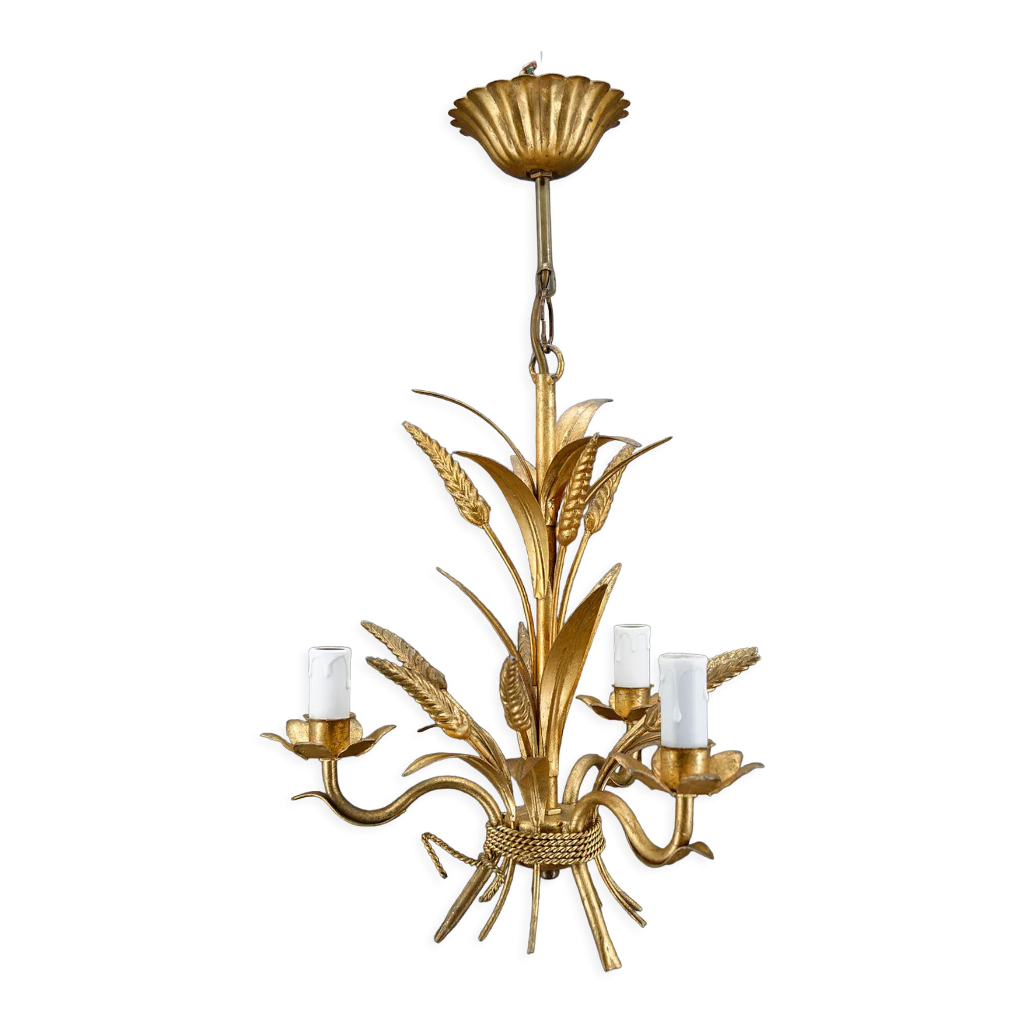 Golden suspension on ears of wheat, circa 1960