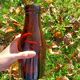 Vintage brown glass vase/bottle