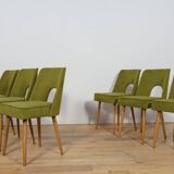 Shell Chairs from Bydgoszcz Furniture Factory, Poland, 1960s, Set of 6