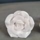 Paire de boutons de meubles en porcelaine