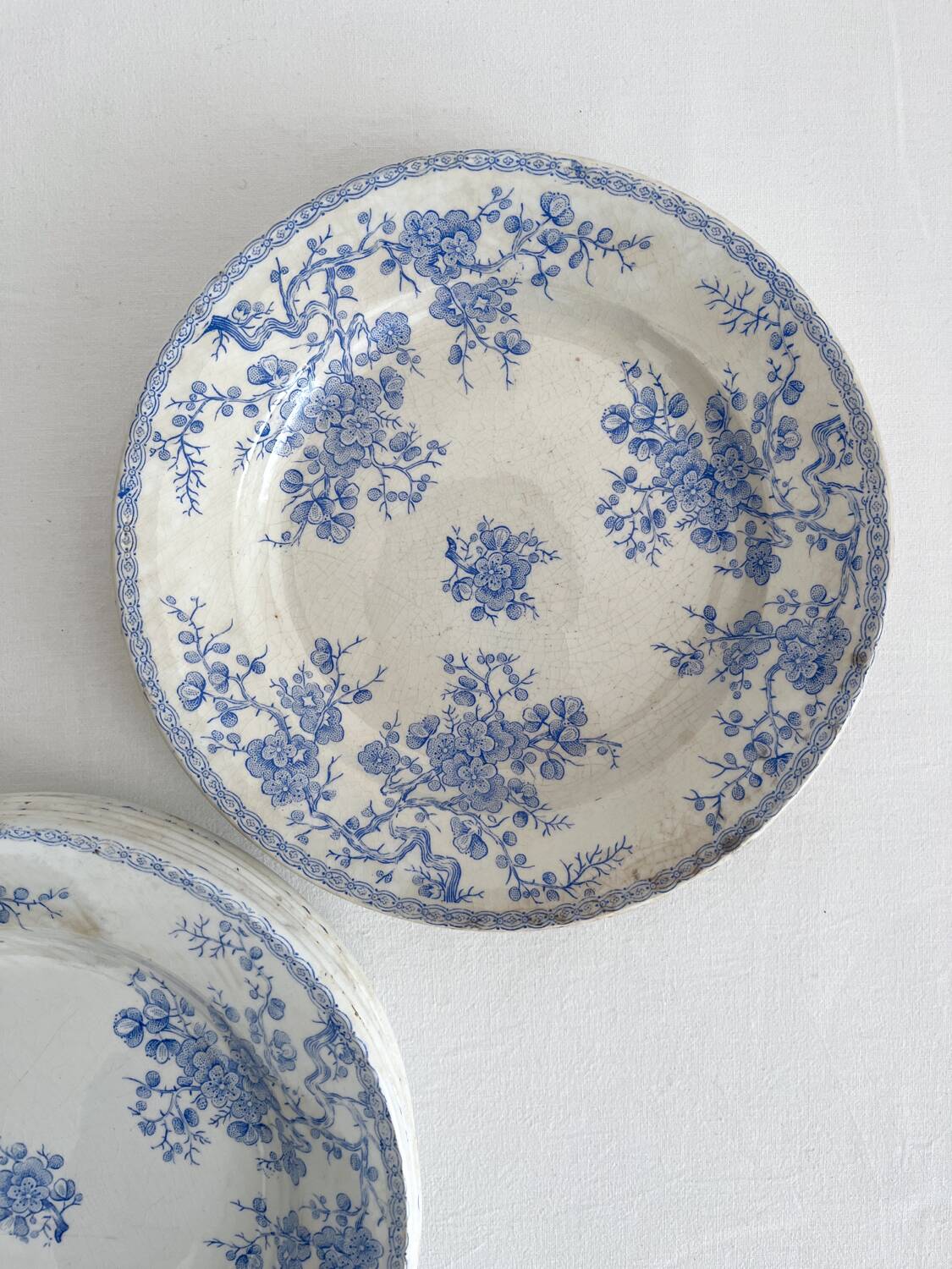 8 flat ironstone plates “Fleurette” Gien